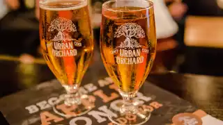 New-school cider: Urban Orchard