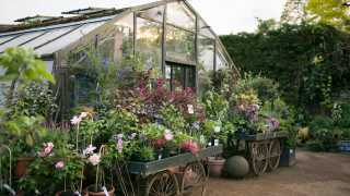 The greenhouse at Petersham Nurseries. Photograph by Marimo Images
