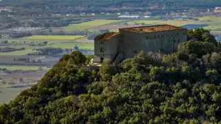 The Tentu San Guido estate in Tuscany