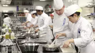 Cooks in Le Cordon Bleu's kitchens