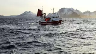 A Skrei fishing boat in northern Norway (photograph by Steve Lee)