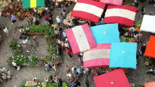 Azalea Dalton – 'Villefranche Market'