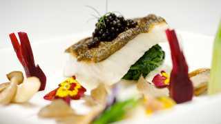 A fish dish at Oval Restaurant at The Wellesley