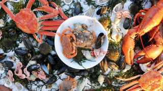 Seafood platter in St. John's Newfoundland & Labrador, Canada