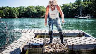 An oyster man harvests his crop in Maine; photograph: National Geographic Creative / Alamy Stock Photo