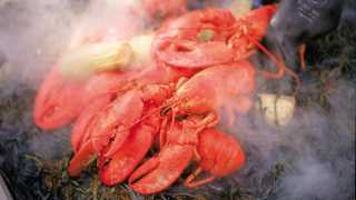 Lobster steaming