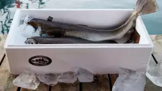 Norwegian seafood