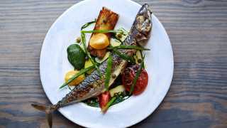 Whole mackerel with potato cakes and confit tomatoes