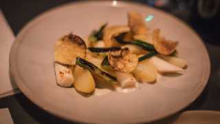 William pear, parsnip and yeast