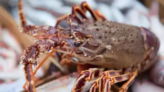 Fruits de Mer fishmonger, Broadstairs