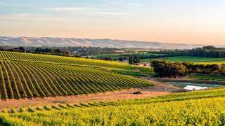 McLaren Vale, South Australia wine growing region