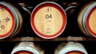 South Australian wine fermenting in barrels