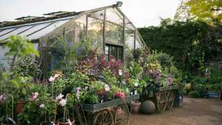 A greenhouse at Petersham Nurseries