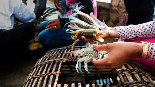 Fishermen inspecting their crab traps in Kep