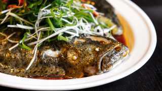 Cantonese steamed turbot at Plum Valley