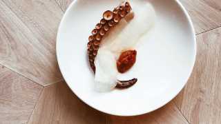 Octopus with red pepper and miso from Londrino