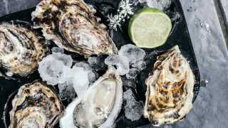 Win two places to an invite-only 'Ostrelier' oyster masterclass