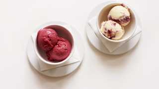 Strawberry jam ripple and damson sorbet from Rochelle Canteen at the ICA