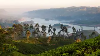 Lake Castlereagh in Sri Lanka's tea country