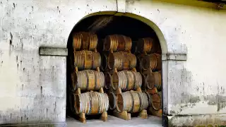 The barrel room at ABK6