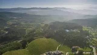 Vinho Verde