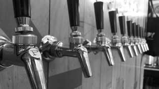 Taps at Canopy Beer Co, London