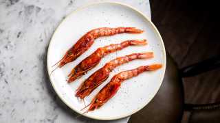 Grilled Sicilian prawns from The Ninth