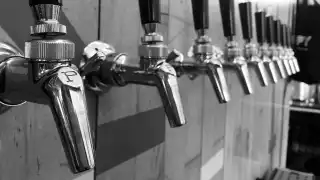 Taps at Canopy Beer Co brewery and taproom in Herne Hill, London