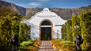 The Mullineux & Leeu Family Wines estate