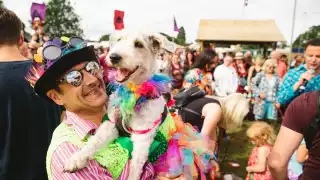 Standon Calling's Dog Show