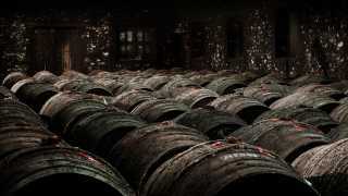 Casks ageing in the cellar at single-estate cognac house Frapin