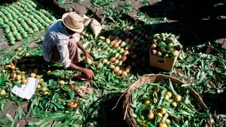 Locally grown produce at Port Louis market