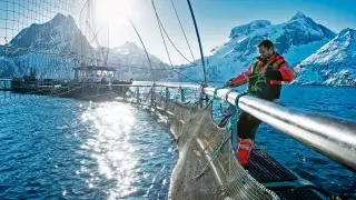 A fisherman in Norway