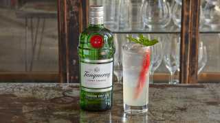 Tanqueray Gin's Mexican Collins