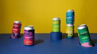 Canopy beer's new range of craft beer