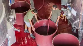 Residents in the winery, San Patrignano, Italy