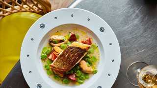 Seabass, Iberico tomatoes, mussel and broad bean broth