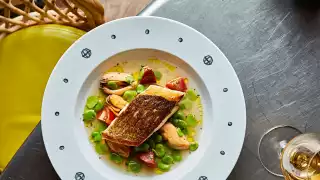 Seabass, Iberico tomatoes, mussel and broad bean broth