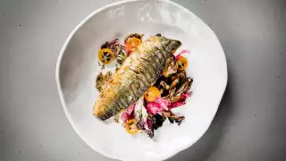 Mackerel, radicchio and kumquats from Hicce