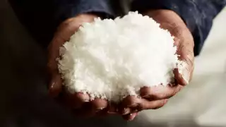 Freshly harvested Maldon salt