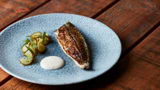 Grilled mackerel, oyster mayonnaise, and pickled cucumber at Lino, Clerkenwell