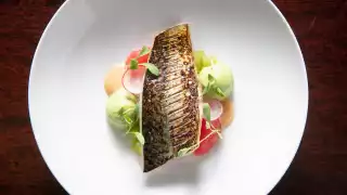 Barbecued Cornish mackerel, dressed crab, brown crab emulsion, avocado purée, pickled mooli and pink grapefruit