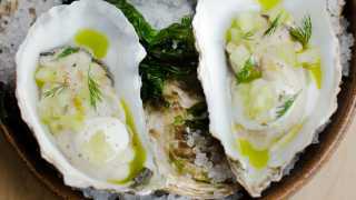 Pickled oysters, celery, dill and horseradish cream