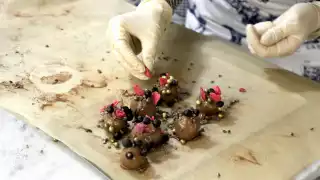 Rococo Chocolate Truffles