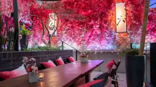 Hanami at Nobu