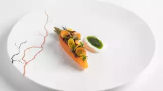 Lamb braised carrot with sheep's milk yoghurt