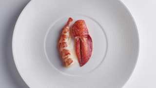 Lobster, wagyu fat