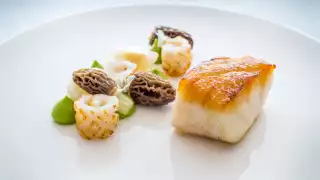 Newlyn cod, new seasons garlic, Turkish morels, line-caught squid