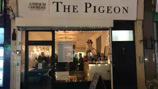 The Pigeon