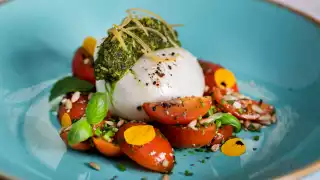 Buratta, mixed tomatoes, sunflower and chia seed salad